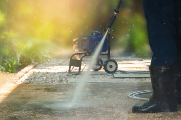 Animal Enclosure Cleaning in Cape May, NJ